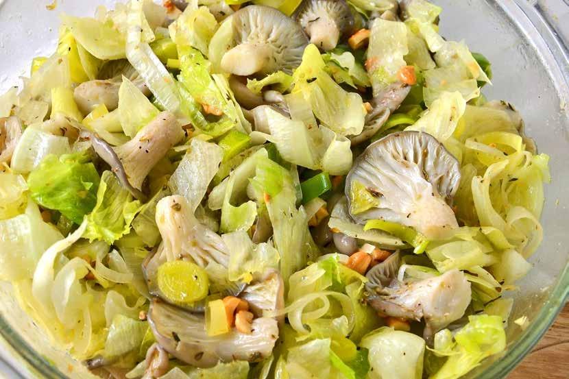 Light Oyster Mushroom Salad