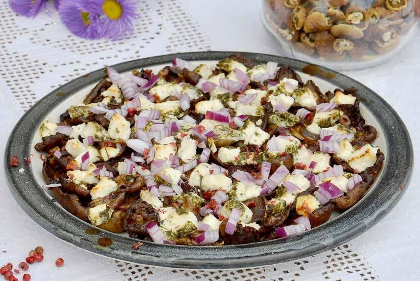Oyster Mushroom Country Dish