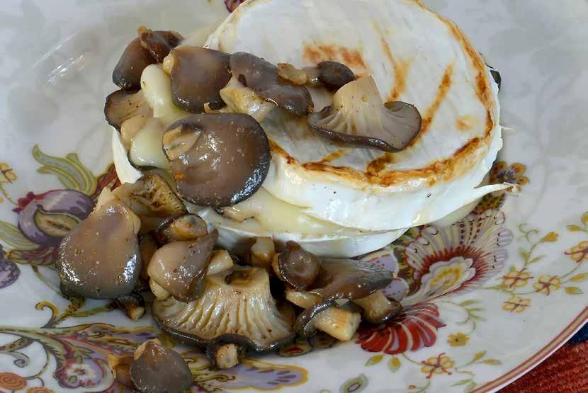 Oyster Mushroom and Camembert Cheese Sandwich