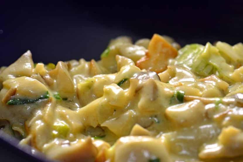 Spicy Oyster Mushroom Cream