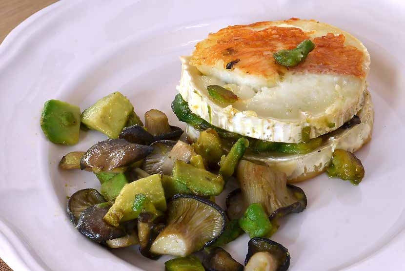Avocado Oyster Mushroom